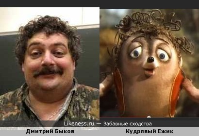 Дмитрий Быков похож на Кудрявого Ежика