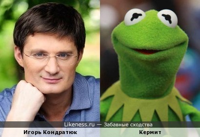 Игорь Кондратюк похож на лягушонка Кермита