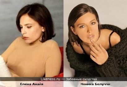 Елена Анайя похожа на Монику Белуччи