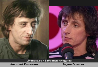 Анатолий Калмыков похож на Вадима Галыгина