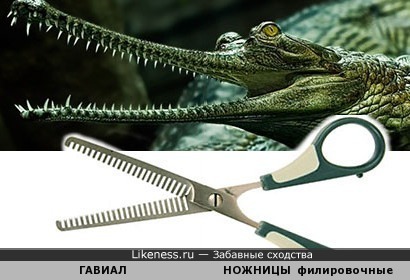 Челюсть крокодила - как расческа, или филировочные ножницы