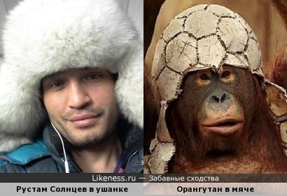 Рустам Солнцев (Дом-2) и орангутан.