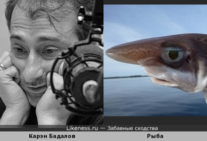 Рыба напомнила Карэна Бадалова