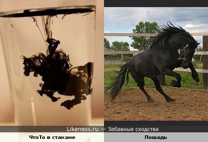 ЧтоТо в стакане похоже на лошадь))