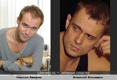 Максим Аверин похож на Алексея Комашко