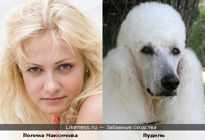 Полина Максимова похожа на Пуделя