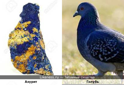 Азурит, похожий на голубя