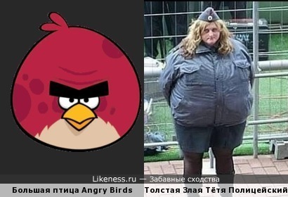 Толстая и Злая тётя полицейский похожа на Большую птицу Angry Birds