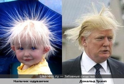 Кто знает.....может это детское фото Дональда Трампа....