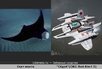 Летающая субмарина класса &quot;Сёдзё&quot; из компьютерной игры Command and Conquer: Red Alert 3 похожа на ската манта