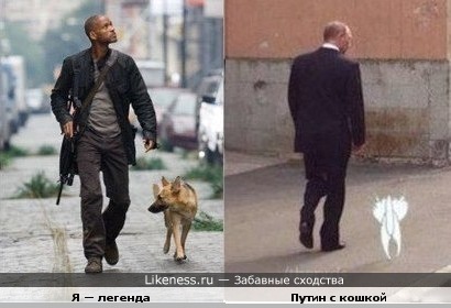 Путин с кошкой похож на фильм &quot;Я — легенда&quot;
