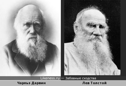 Чарльз Дарвин похож на Льва Толстого