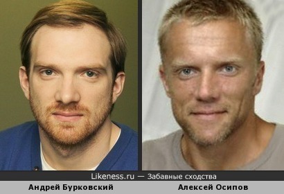 Андрей Бурковский похож на Алексея Осипова