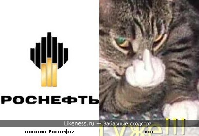 Котик показывает логотип Роснефти