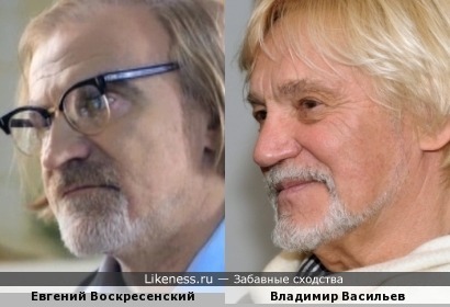 Владимир Васильев и Евгений Воскресенский