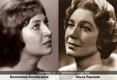 Валентина Кособуцкая похожа на Эльзу Радзиня