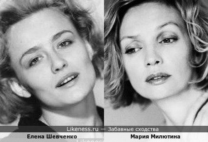Елена Шевченко похожа на Марию Милютину