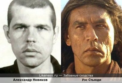 Александр Новиков похож на Уэса Стьюди