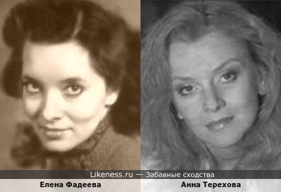 Елена Фадеева похожа на Анну Терехову