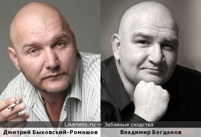 Дмитрий Ромашов-Быковский похож на Владимира Богданова