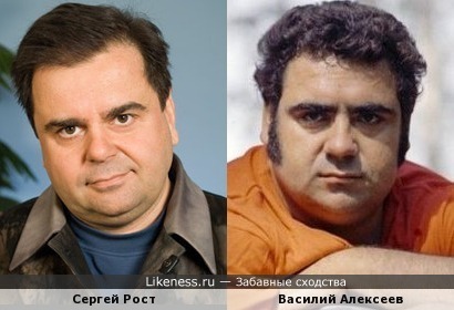 Василий Алексеев похож на Сергея Роста
