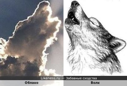 Облако напоминает воющего волка