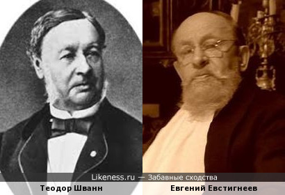 Теодор Шванн (Theodor Schwann) и Евгений Евстигнеев
