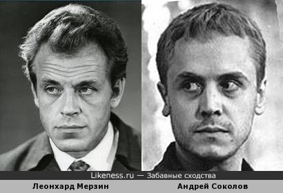 Леонхард Мерзин и Андрей Соколов похожи