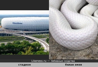 Стадион Альянц Арена в Мюнхене похож на гигантскую белую змею
