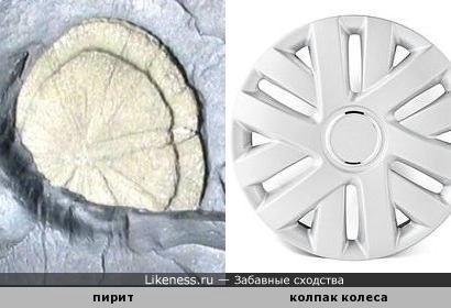 Доказательство существования в древней цивилизации автомобиля - окаменевший колпак колеса! )))