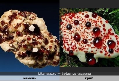Камень (спессартин на полевом шпате) напоминает гриб Дьявольский зуб