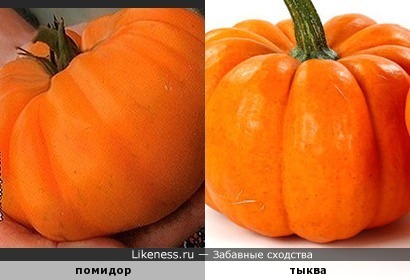 Оранжевое настроение )
