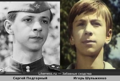 Игорь Шульженко похож на Сергея Подгорного
