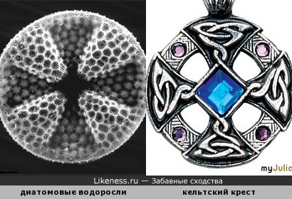 Диатомовые водоросли и христианский символ