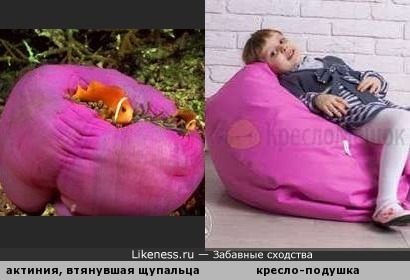 Кресло-подушка для ребят и для рыбят )