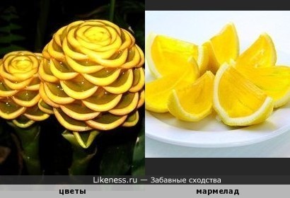 Живые цветы &quot;имбирный улей&quot;напоминают конструкцию из мармелада &quot;лимонные дольки&quot;