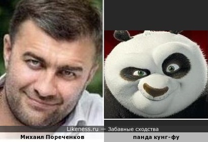 Михаил Пореченков и панда кунг-фу
