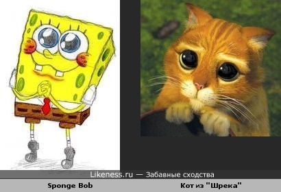 Sponge Bob похож на кота из &quot;Шрека&quot;