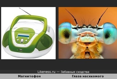 Магнитофон и Глаза насекомого