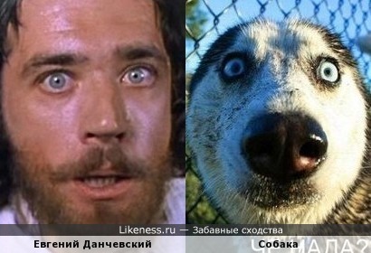 Евгений Данчевский и собака