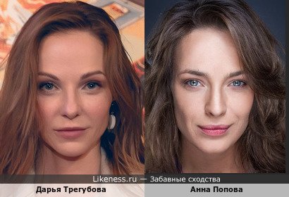 Дарья Трегубова похожа на Анну Попову