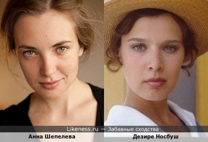Анна Шепелева похожа на Дезире Носбуш