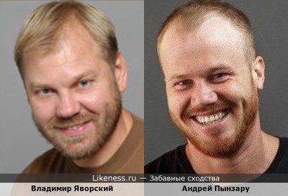 Владимир Яворский похож на Андрей Пынзара