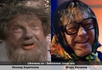 Леонид Харитонов похож на Игоря Касилова