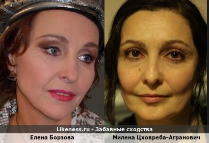 Елена Борзова похожа на Милену Цховреба-Агранович