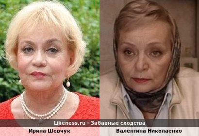 Ирина Шевчук похожа на Валентина Николаенко