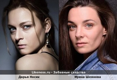 Дарья Носик похожа на Ирину Шеянову