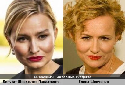 Депутат Шведского Парламента похожа на Елену Шевченко