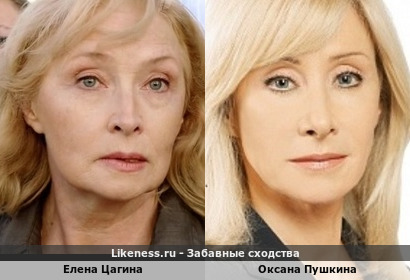 Елена Цагина похожа на Оксану Пушкину