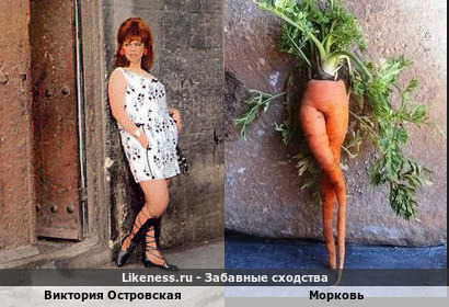 Морковь напомнила Викторию Островскую в образе